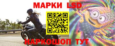 spice Изобильный