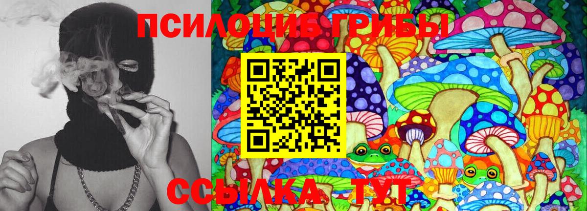 Галлюциногенные грибы Psilocybe  Псилоцибиновые грибы мицелий  Вход с VPN  Кызыл 